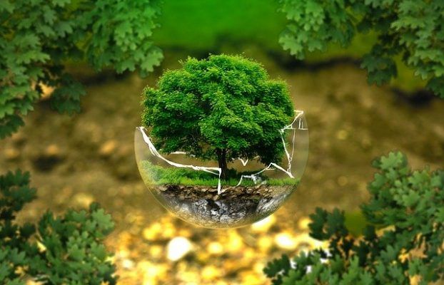 Cómo reducir la huella de carbono en los envíos de parafarmacia