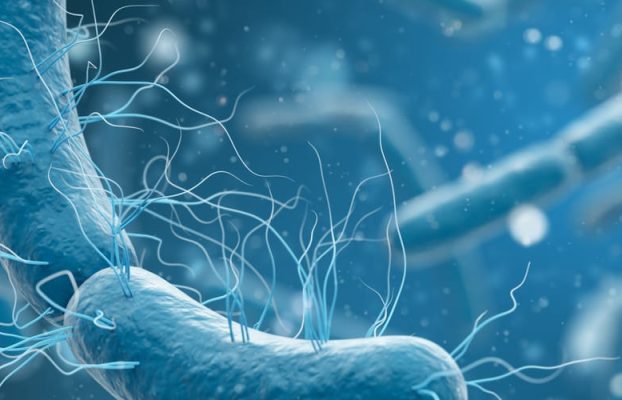La resistencia bacteriana, una de las principales amenazas para la salud global