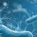 Resistencia bacteriana