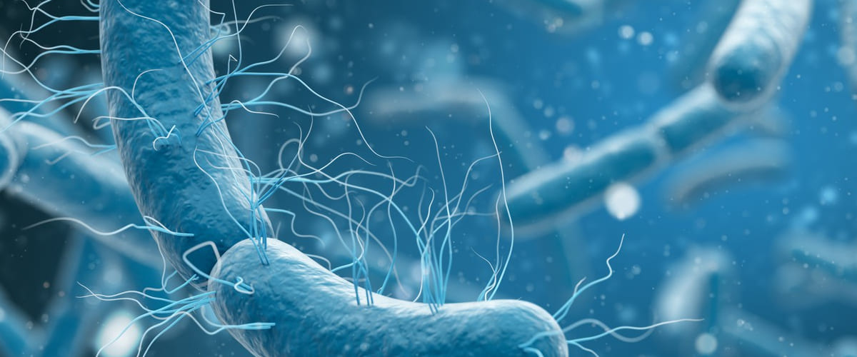 La resistencia bacteriana, una de las principales amenazas para la salud global