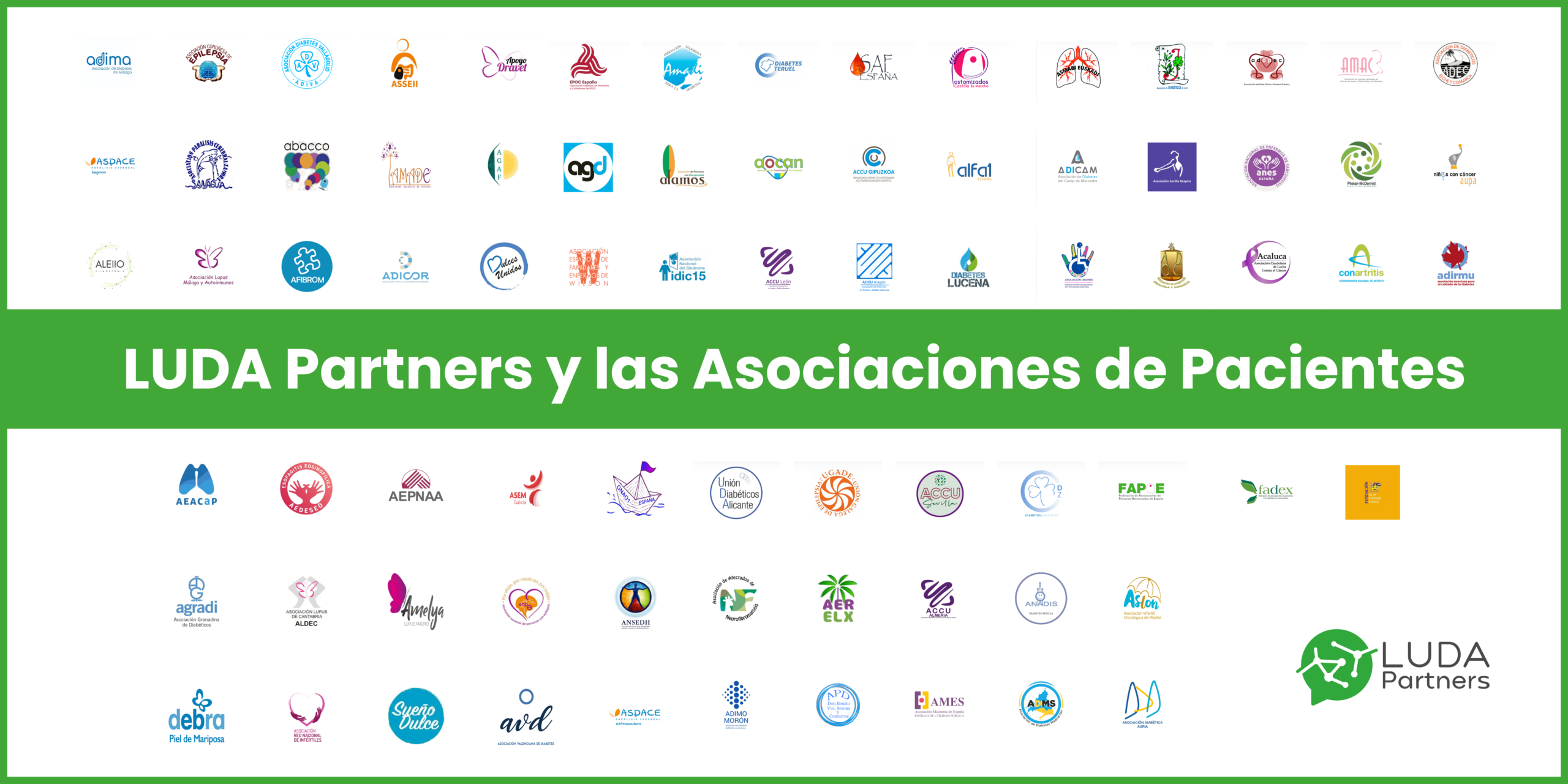 Cómo LUDA Partners colabora estratégicamente con las asociaciones de pacientes